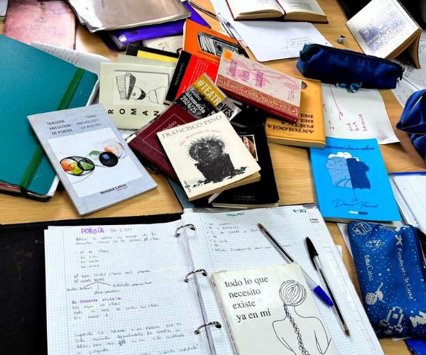 colegio-montessori-middle-school-etapa
